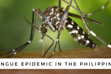 National Dengue Epidemic Declared in Philippines