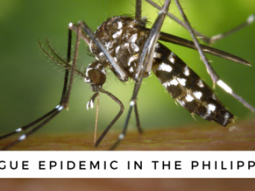 National Dengue Epidemic Declared in Philippines