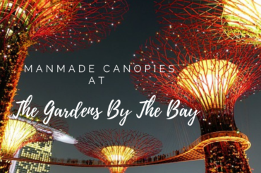 Manmade Canopies at the Gardens By The Bay