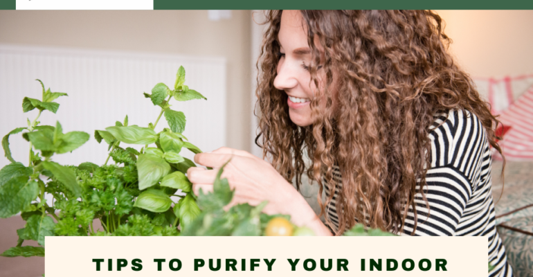 TIPS TO PURIFY YOUR INDOOR ENVIRONMENT NATURALLY