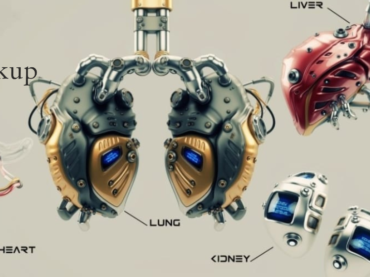 Manufacturing Organs- Far from Reality?