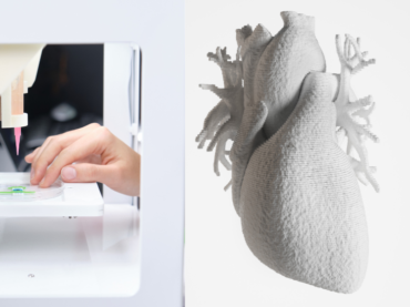 LET’S PRINT OUR ORGANS!