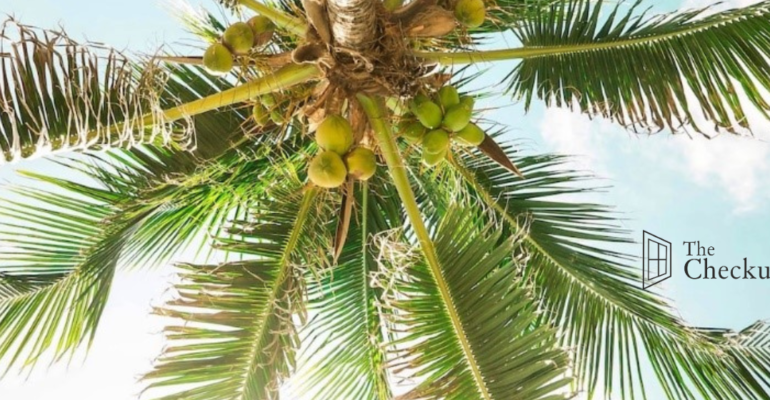 Making peace with Coconuts