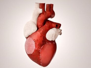 HEALING OF A BROKEN HEART: THE ROLE OF OXYTOCIN IN REGENERATION OF HEART CELLS.