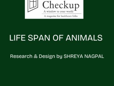 The Life Span of Animals