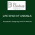 The Life Span of Animals