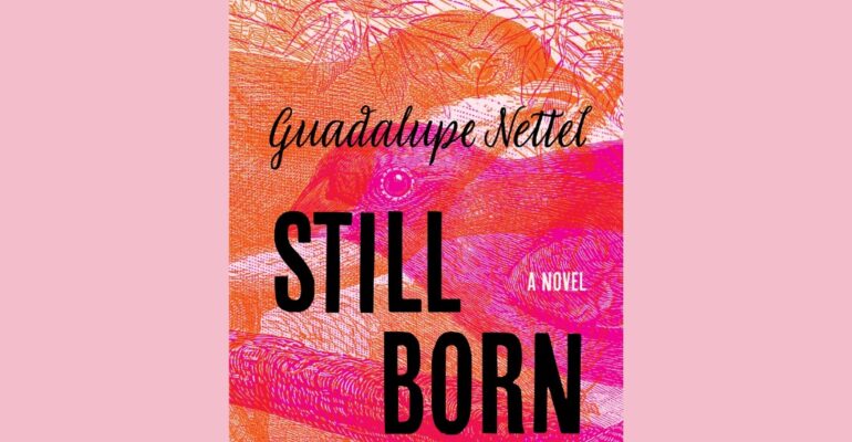 Still Born by Guadalupe Nettel, translated from the Spanish by Rosalind Harvey